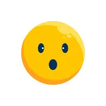 Emoticon Emotion Expression Face Happy SVG Icon